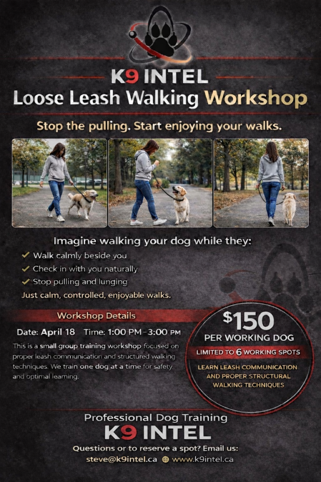 Loose Leash Walking 1 Day Work Shop