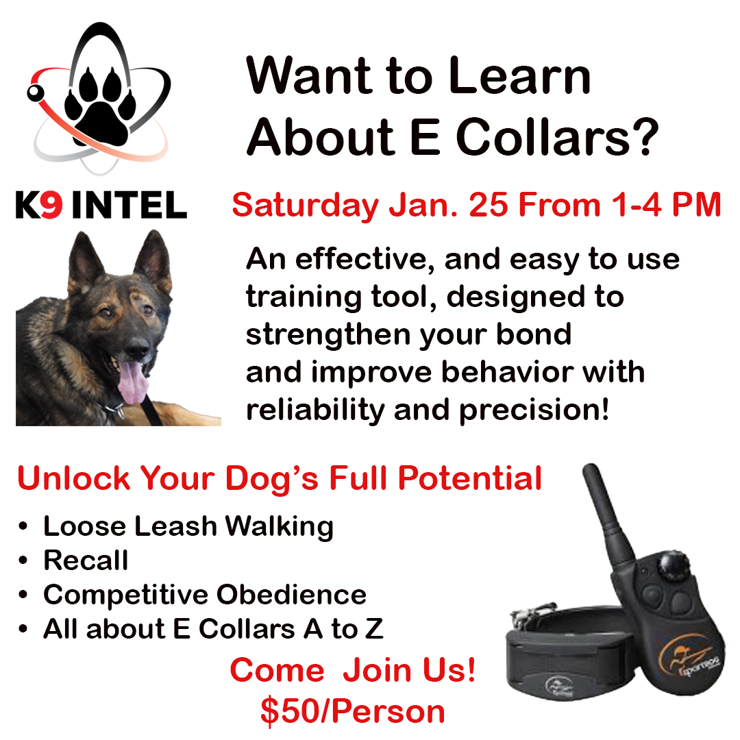 E Collar Course January 25
