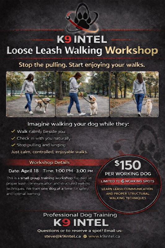 Loose Leash Walking 1 Day Work Shop