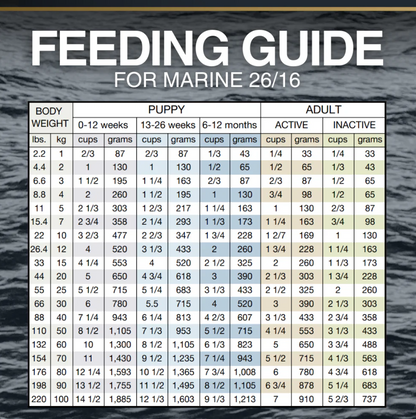 Marine 26/16
