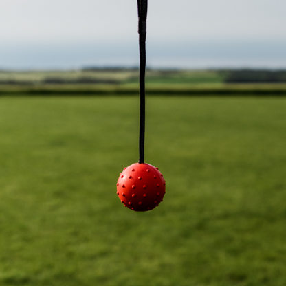 Rubber Ball