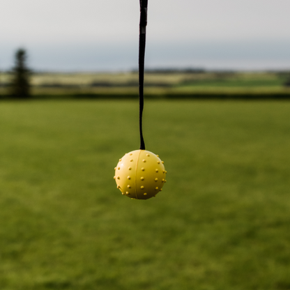 Rubber Ball