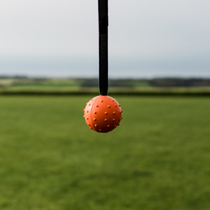 Rubber Ball
